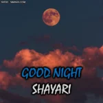 100+ WONDERFUL GOOD NIGHT SHAYARI | अद्भुत गुड नाईट शायरी इन हिंदी