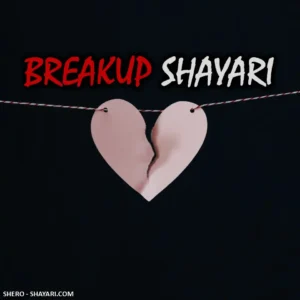 BREAKUP-SHAYARI-CATG
